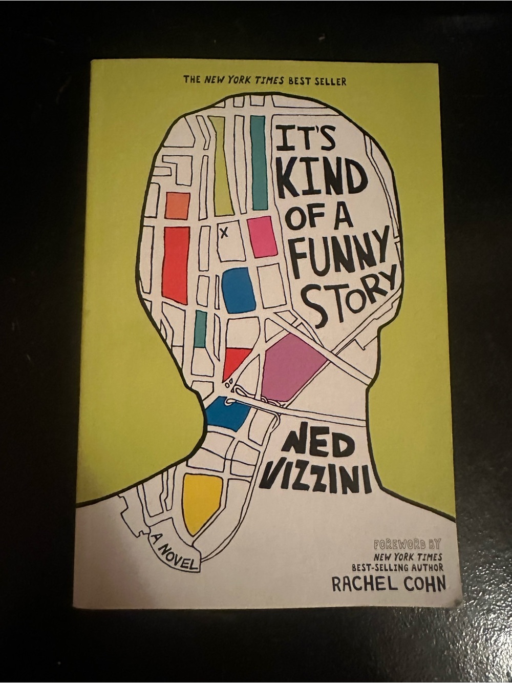 It's Kind of a Funny Story by Ned Vizzini - Paperback